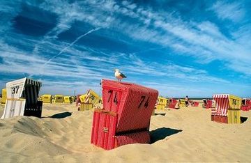 Langeoog: kosz plażowy z mewą
